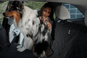 Pet Seatbelt Harness MOST MODELS